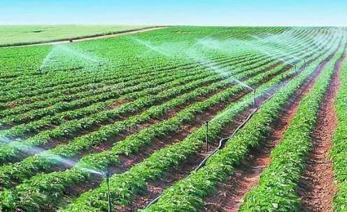 进美女小穴视频免费看农田高 效节水灌溉